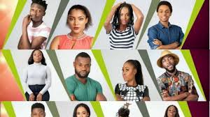 Big brother naija season 4, also known as big brother naija: Nigerian Govt Steps In Probes Why Big Brother Naija Moved To South Africa