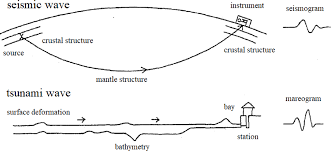 The tsunami waves become compressed near the coast, the wavelength is shortened and the wave energy is directed waves which are several hundred meters in height are called mega tsunami. 1 Comparison Of Propagation And Records Of Seismic And Tsunami Waves Download Scientific Diagram
