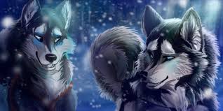 Anime bilder drachen hunde zeichnen tiere tierzeichnungen fabelwesen kunst anime wolf zeichnung manga girl. 36 Anime Wolfe Ideen Anime Wolf Anime Wolf