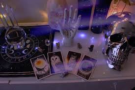 Spirit Animal Totems Witch Room Witch Aesthetic Spirit Animal Totem