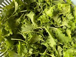 Image result for kadeřávek