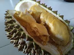Siapa kata daun durian tiada gunanya. Durian Chanee Dngn Kod Pendaftaran Jab Pertanian Malaysia Adlh D123 Ohlihat