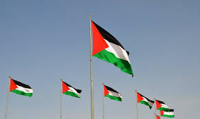 Find & download free graphic resources for palestine flag. What It Means To Raise The Palestinian Flag In Today S America
