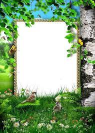 Nature And Birds J Frame Border Design Rose Flower Wallpaper Page Borders Design