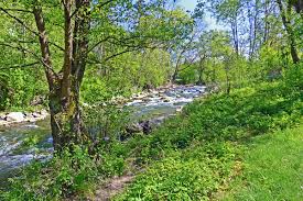 File Lauter Mit Ufervegetation Wendlingen Am Neckar Lsg 1 16 084 Jpg Wikimedia Commons