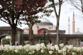 Assalamualaikum dan salam hari jumaat yang berkat, 2 ari sebelum teman balik malaysia (bulan mac, 2012), teman amik peluang jadi pelancong jap. Paket Tour Festival Bunga Tulip Liburan Wisata Ke Turki 7 Hari Bulan April Mei 2021 Visitturki Co Id