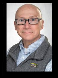 What is this substance, possibly dog vomit slime mold?