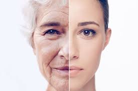 This simple substance gets absorbed into your system during the digestion process and reaches. How Long Does It Take Collagen Supplements To Work Livetray