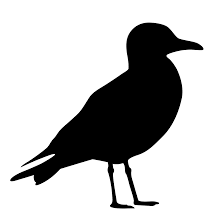 Free Seagull Silhouette Stencil And Outline Clipart Pictures Silhouette Stencil Nautical Clipart Shadow Art
