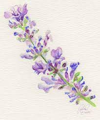The Jellybean Tree Color Flavor Lavender Flower Art Floral Art Lavender Tattoo