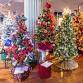 BACA'S Holiday Tree Reception event in Branford, CT