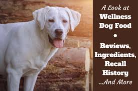 Our puppy dog food kibble helps your growing pup maintain his ideal body condition, support his growing muscles — including a healthy heart — and give him the nutrition he needs to live a healthy life with you. Wellness Dog Food Reviews Ingredients Recall History And Our Rating