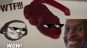 Jelly Belly Pet Rat Gummi Candy Runforthecube Candy Review Music Video Beatboxing Youtube