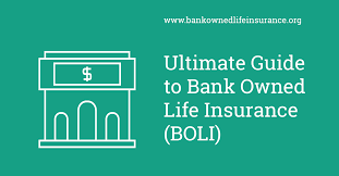 Diversify Your Business With Bank-Owned Life Insurance