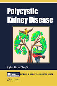 And often considered to be a japanese fbb pioneer. Pdf Chapter 4 Methods In Signal Transduction Series Ethods M In Signal Transduction Polycystic Kidney Disease