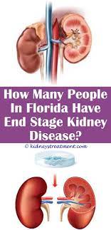 Pin On What Is Kidney Disease