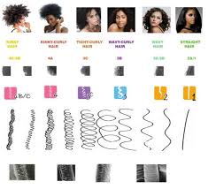 Natural Hair Chart 4a 4b 4c Etc