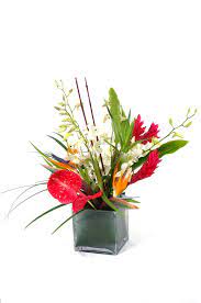 4.7 out of 5 stars. Birds Of Paradise And Ginger Fiori Flowers Local Florist Boulder Co Flowers Birds Of Paradise Local Florist