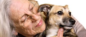 At gateway, we understand how hard it is to say farewell to a true friend. Pets At Peace Pet Cremation Service Pet Crematorium Pet Burial Dog Cat Animal Cremations Sydney Blue Mountains Newcastle Central Coast Central West Macarthur Pets At Peace