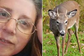 Mother killed in front of her two children in freak accident as airborne  deer crashes through windscreen