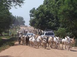 Kedai barangan kereta pulau kambing terengganu teong huat. South Sudan