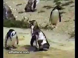 Wir haben eine betriebsvereinbarung mit der regel, dass ab 2. Wie Man Freitags Nach Hause Geht Und Am Montag Wieder Zur Arbeit Muss Video Dailymotion