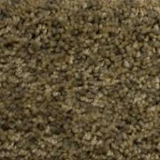Stainmaster petprotect at the westminster dog show. 17 Carpet Samples Ideas Carpet Samples Stainmaster Carpet