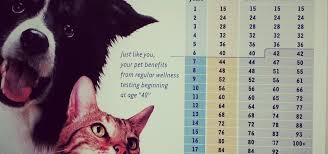 Pet age calculator, pet aging chart. humane society: 14 Year Old Dog In Human Years