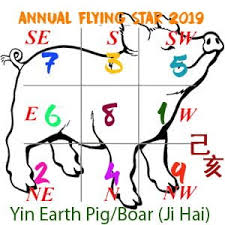 2019 Flying Star Xuan Kong Annual Analysis For Year Of The