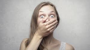 Branding That Dog Lovers Will Love