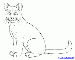 Simply click the free cougar, print the image and color until your hearts content. Puma And Cougar Coloring Pages Only Coloring Pages Coloring Home