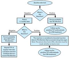 On the other hand, negative testing is a type of testing whereby an invalid data set is entered as the input. 2 Step Tb Test Labreqs Com