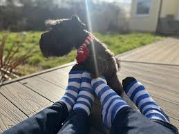 Michael Criddle, PhD