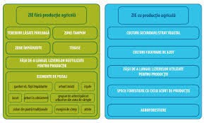 Suna interesant si cu siguranta este una dintre activitatile care suscita un interes deosebit in aceasta perioada. Raportul Special Nr 21 2017 Inverzirea