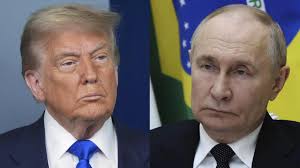 Tallywyte Shemale Action - Kinky Play