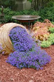 Pin By Leanne Gatlin On Dream Yard Planting Flowers Plants Front Yard Landscaping