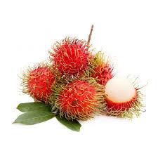 The opening of the rambutan can be accomplished by either cutting part way into the rind or, if fresh, biting into it as the spines are quite soft and pose no threat. Rambutan Exotic Fruits Varieties Production Seasonality Libertyprim
