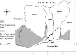 Image result for Ceropegia togoensis