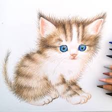 Pin Auf Katze Zeichnen Lernen Katzen Malen