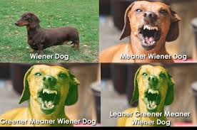 Wiener Dog Greener Meaner Wiener Dog Meaner Wiener Dog Leaner Greener Meaner Wiener Dog Meme Video Gifs Wiener Meme Dog Meme Greener Meme Meaner Meme Leaner Meme