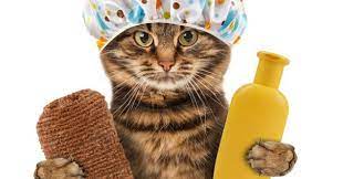 kedi ve kopeklerde hijyen heypati adana veteriner klinigi 0533 193 72 84