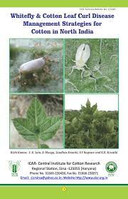 These bio pesticides are widely used to protect the plants or crops from the attack of worms and pests, which can destroy the crops. Pdf Whitefly And Cotton Leaf Curl Disease Management Strategies For Cotton In North India