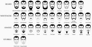 different facial hair stylesjust a chart of different facial