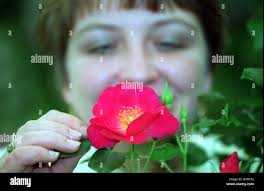 Jill rose hi-res stock photography and images