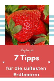 7 Tipps Fur Die Sussesten Erdbeeren Erdbeeren Erdbeeren Pflanzen Balkon Erdbeeren Pflanzen