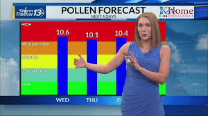 Temperatures soar to above average levels, pollen count remains high