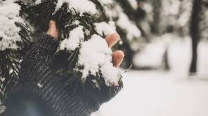 Outdoor Myths: Can Eating Snow Lead to Dehydration?