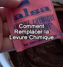 Comment Remplacer La Levure Chimique Gateau Sans Levure Chimique Levure Chimique Levure