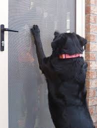 Pet Safe Material Metalex Security Doors Diy Screen Door Security Screen Door Screen Door