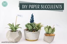 Diy Paper Succulent Avanti Morocha